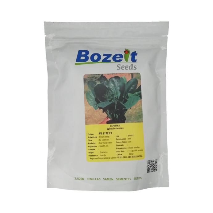 ESPINACA BOZELT X 25.000 SEM PV 1172 F1