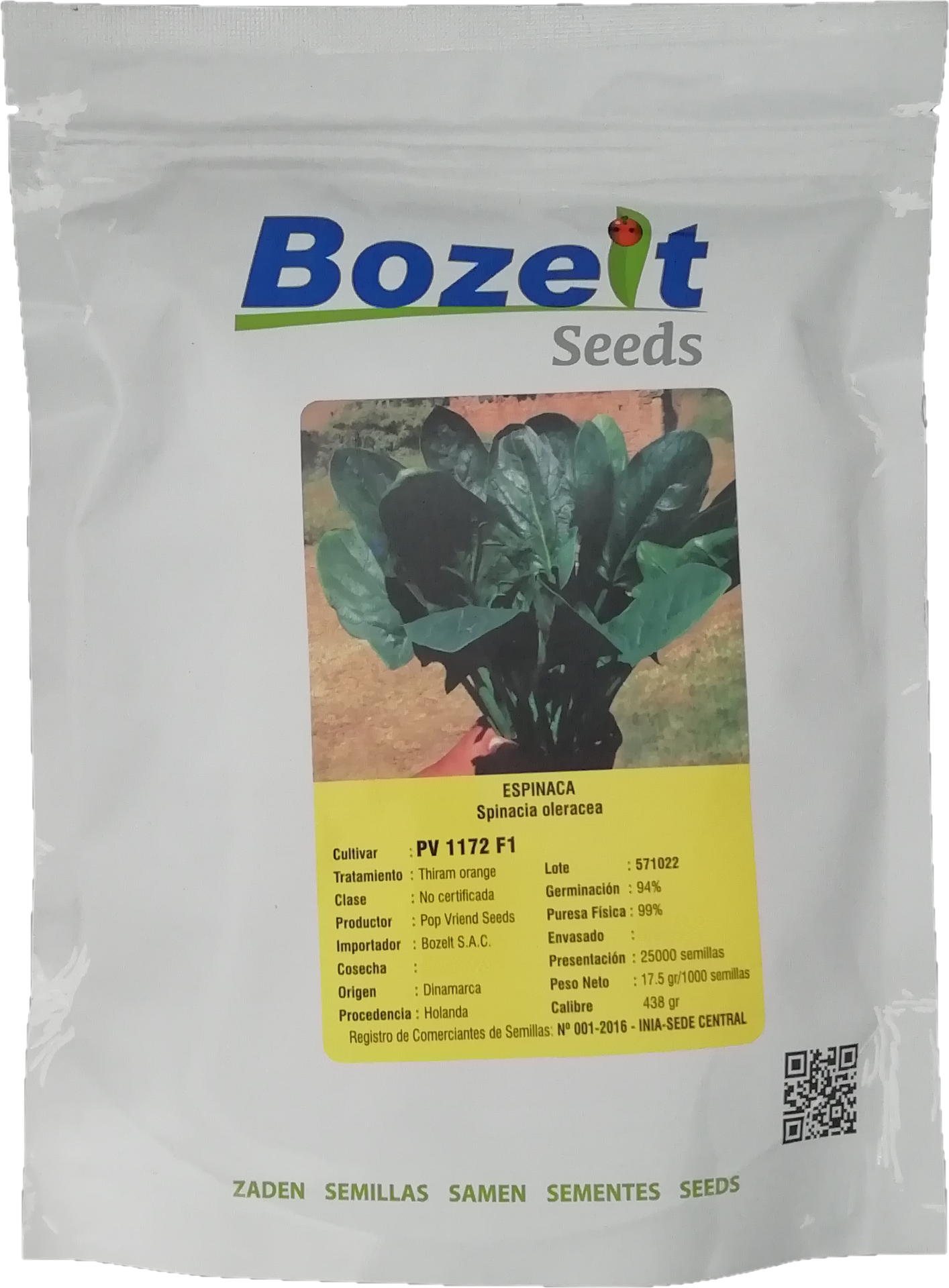 ESPINACA BOZELT X 25.000 SEM PV 1172 F1