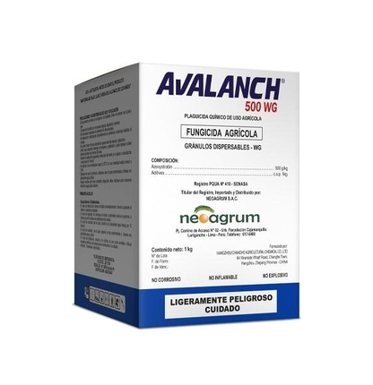 AVALANCH 500 WG X 100 GR