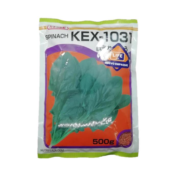 ESPINACA KEX-1031 F1 - 500 GRAMOS