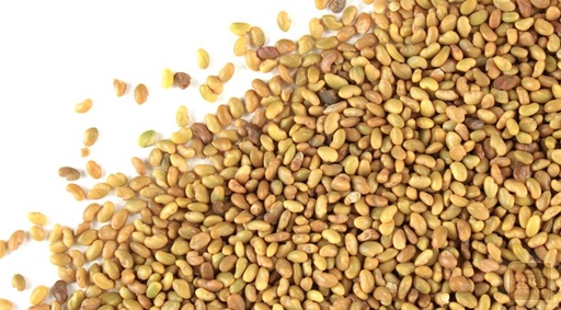 [02NAC017] SEMILLA DE ALFALFA SAN PEDRO X 1 KG