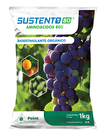 [01POT044] SUSTENTO 80% X 1 KG  (Aminoacidos)