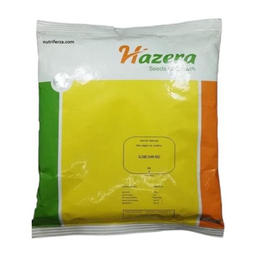 [02HAZ002] BETERRAGA GLOBE DARK HAZERA