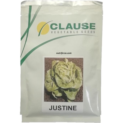 [02TAK026] LECHUGA JUSTINE ELITOP SB X 5,000 SEM.