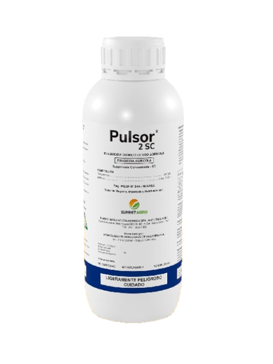 [01SUM029] PULSOR X 1 LT