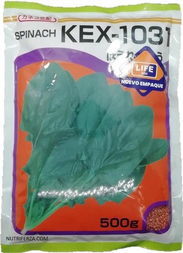 [02AYS014] ESPINACA KEX-1031 X 500 GRAMOS